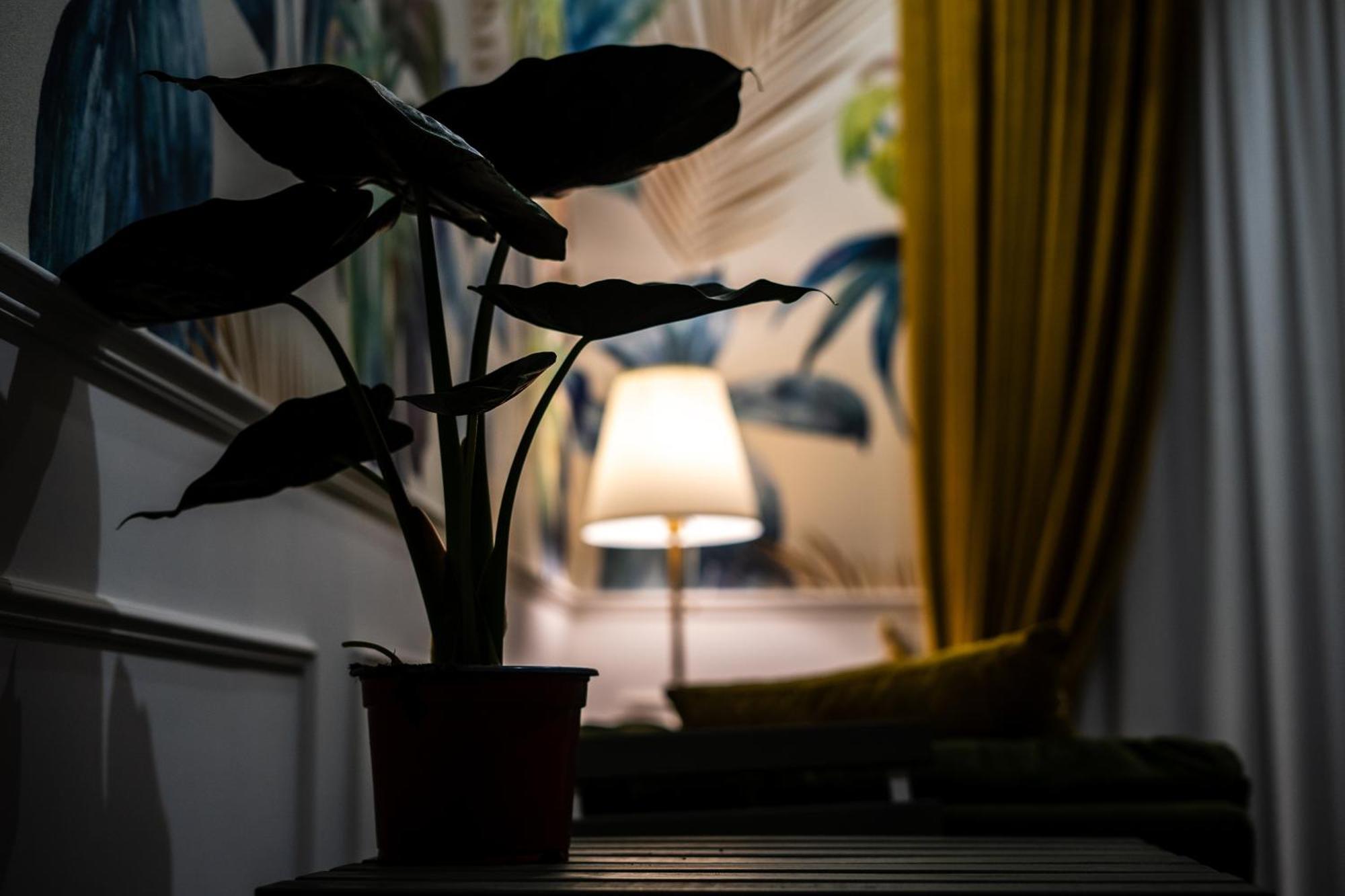 La Grande Bellezza Bed & Breakfast เนเปิลส์ ภายนอก รูปภาพ